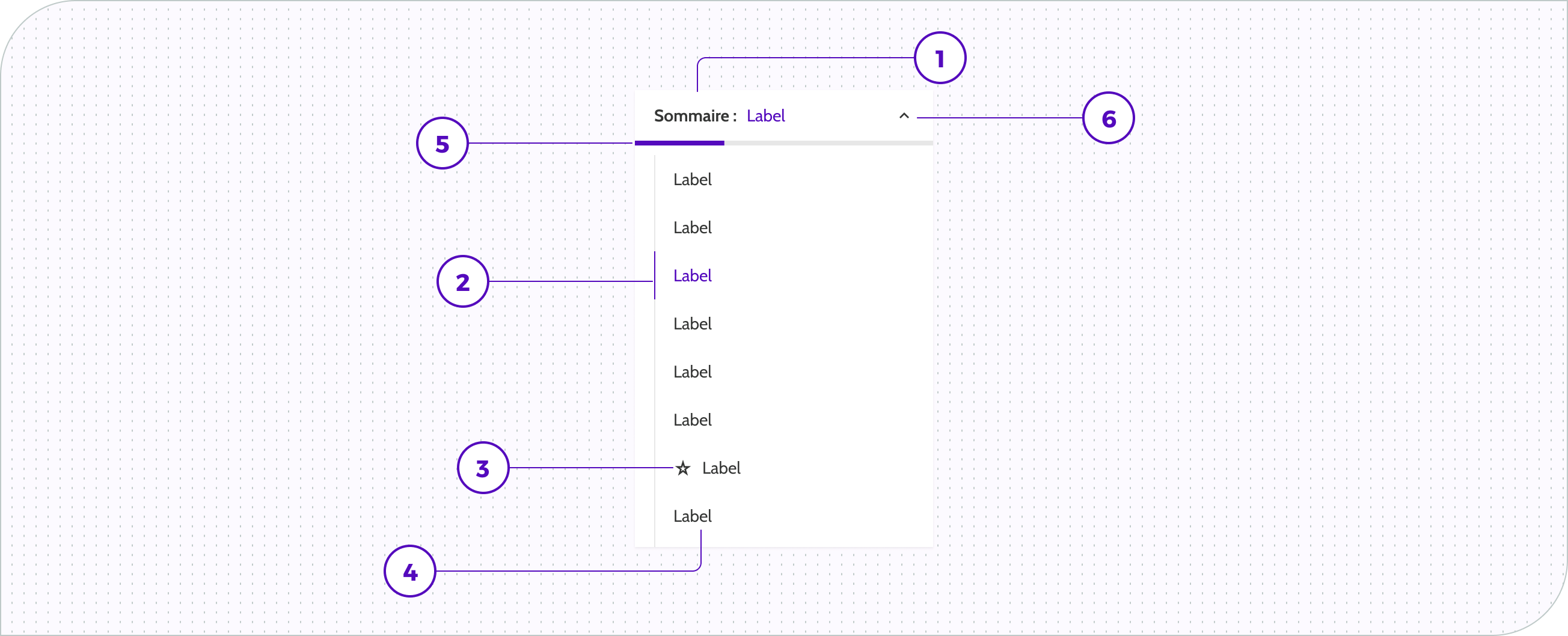 Anatomie table of content