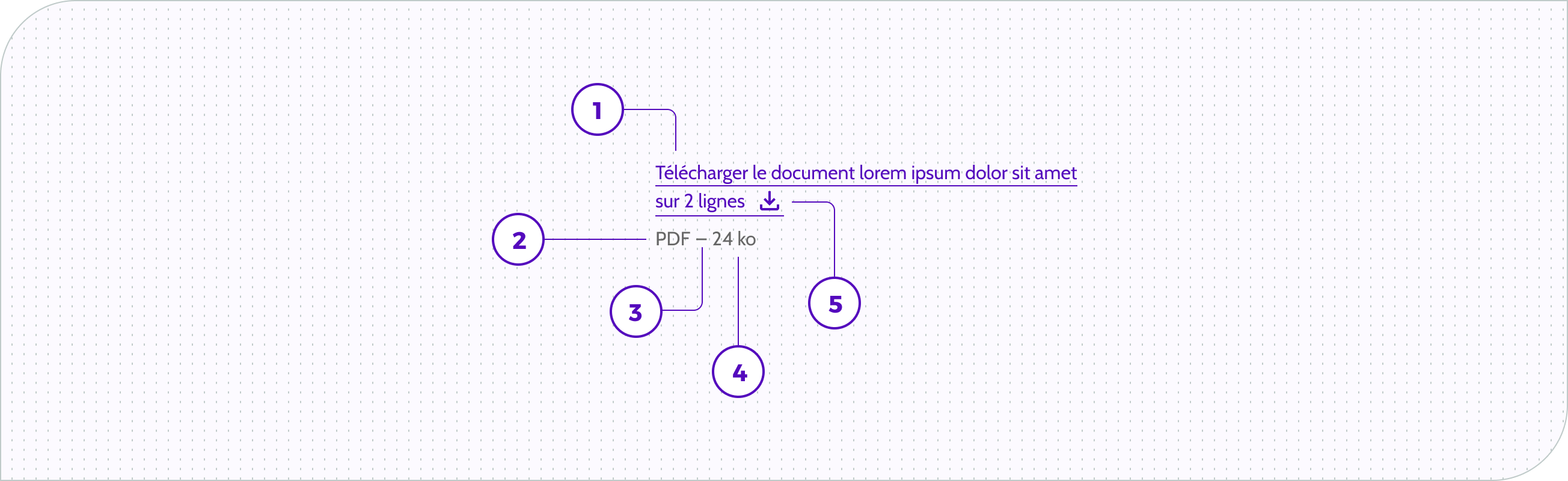 Download file - Link - Anatomie