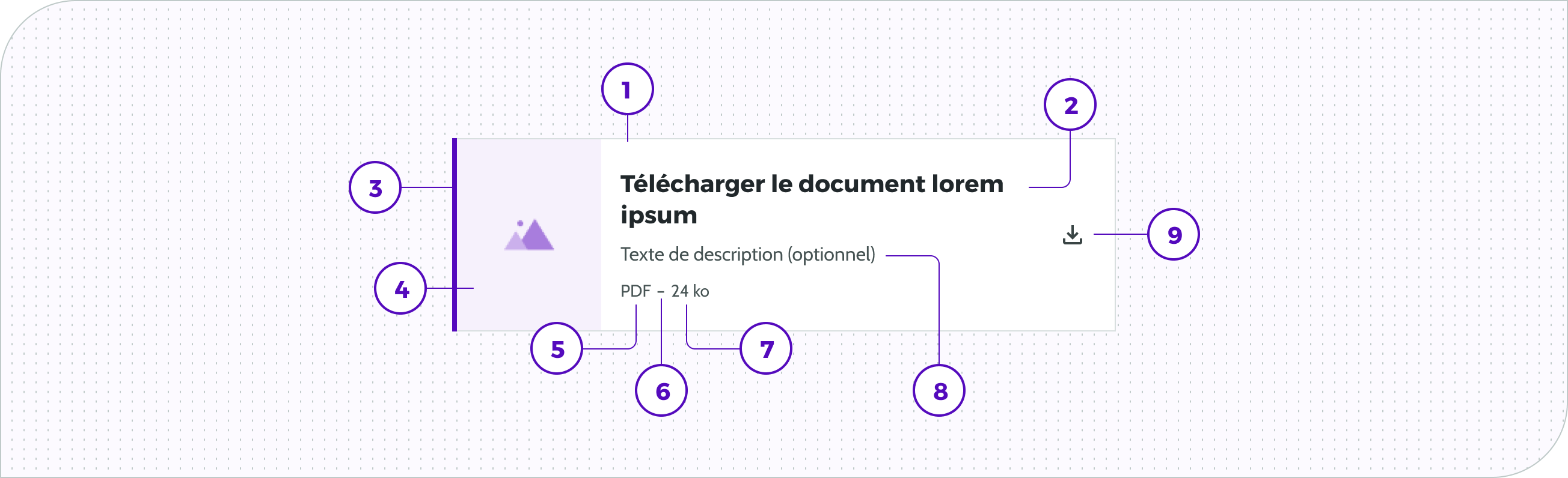 Download file - Card - Anatomie