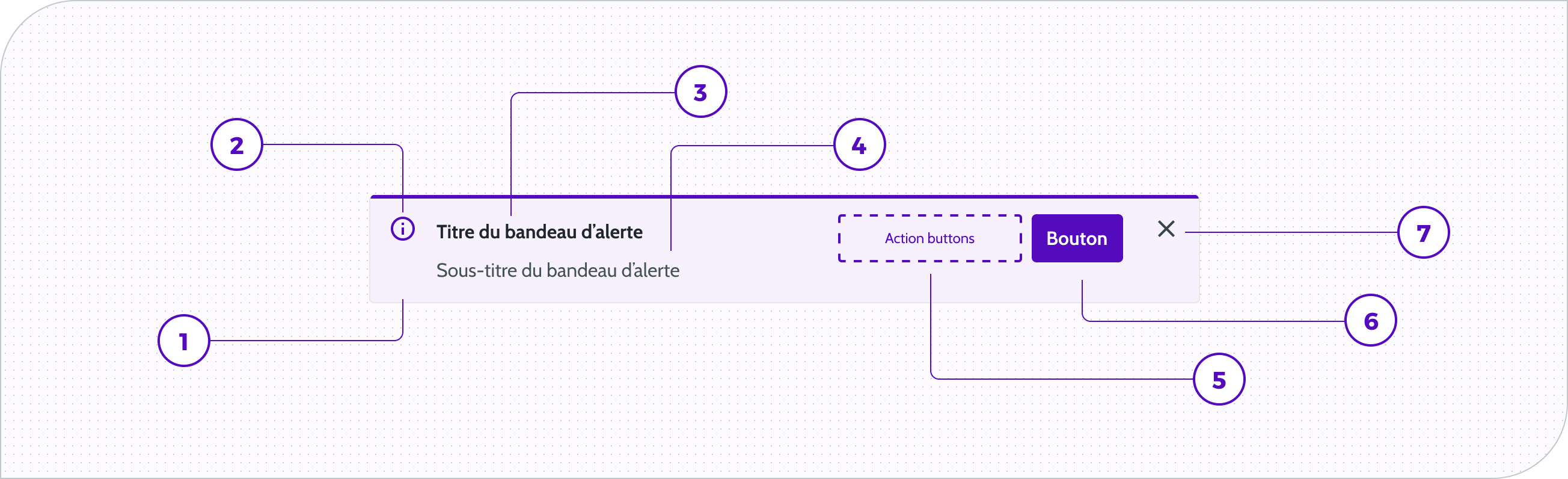 Alert - Anatomie