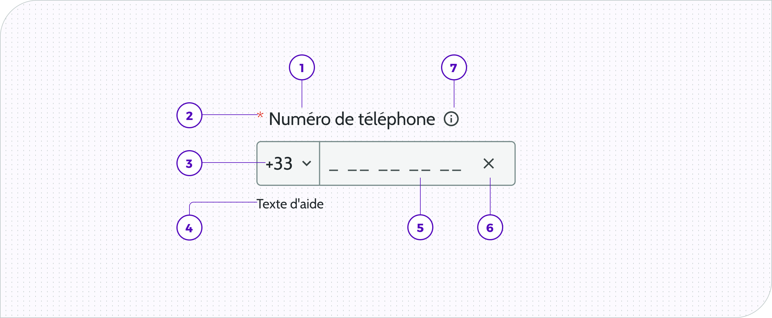 Input phone - Anatomie