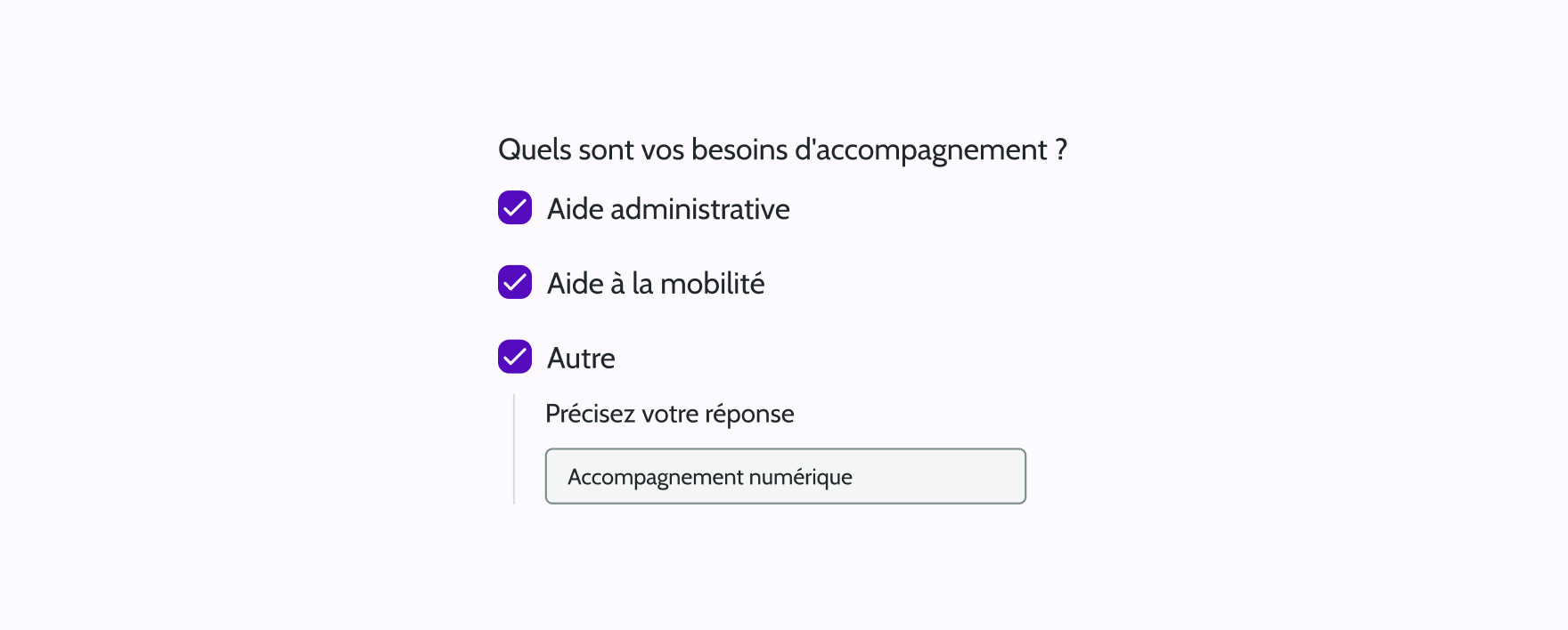 Checkbox group - Option Autre - Exemple 