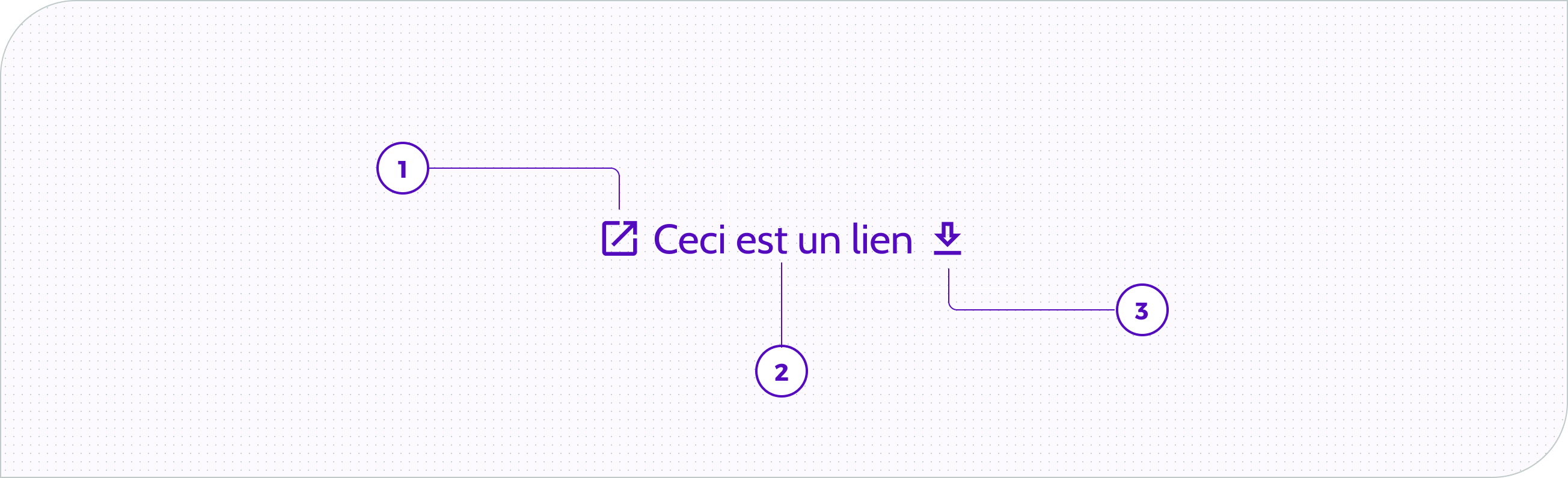 Link - Anatomie