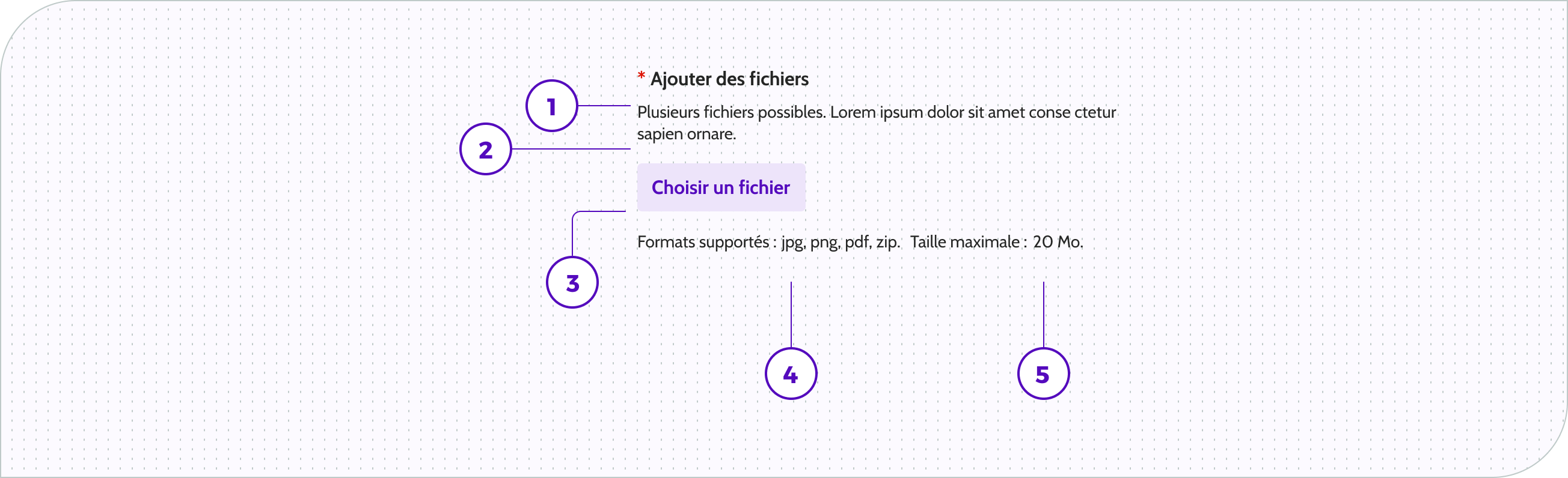 File upload - Anatomie