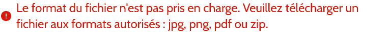 Format de fichier non pris en compte