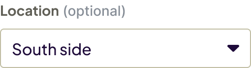 Selects-Example-Optional