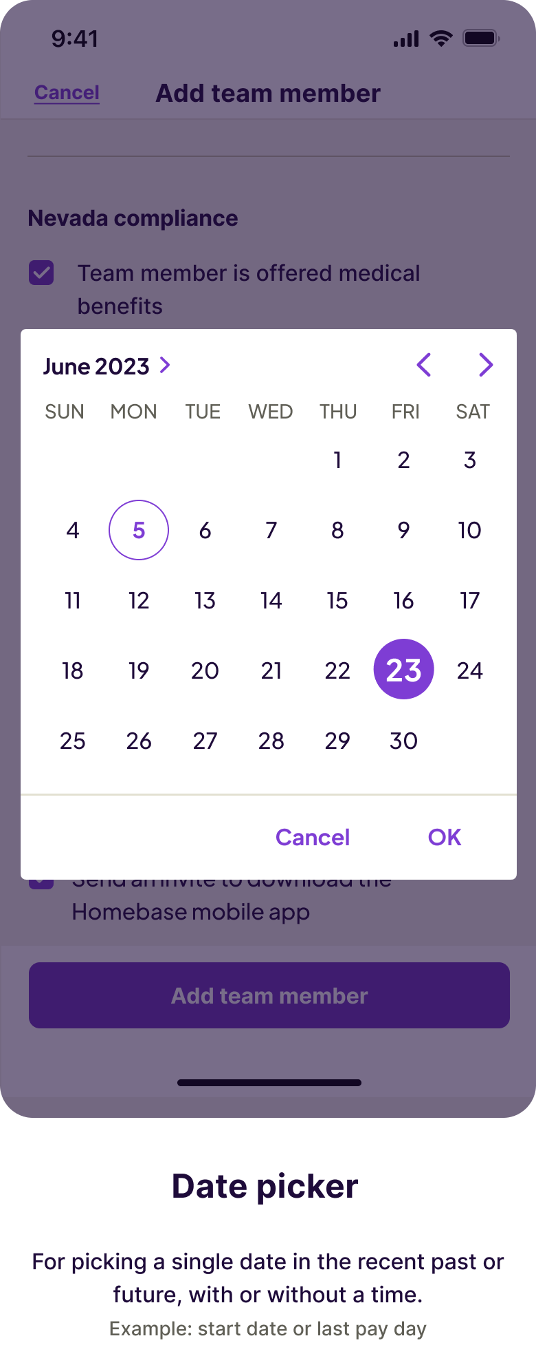 DPR-NA-Example-iOS-DatePicker