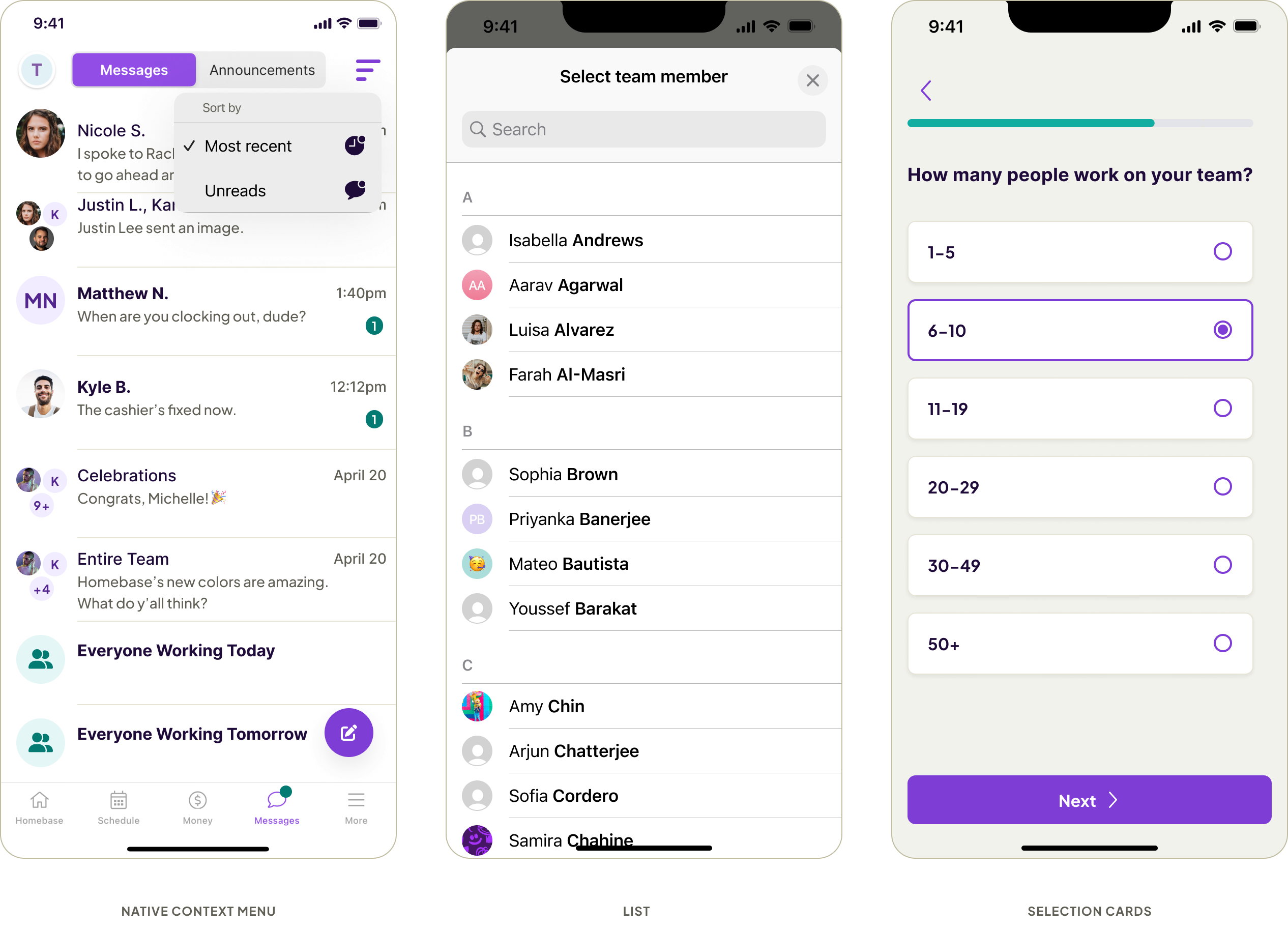 Selects-Example-NativeApp-Single
