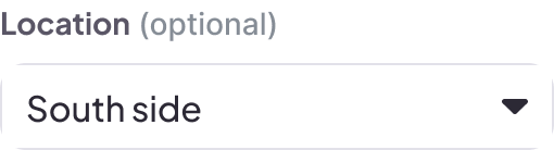 Selects-Example-Optional