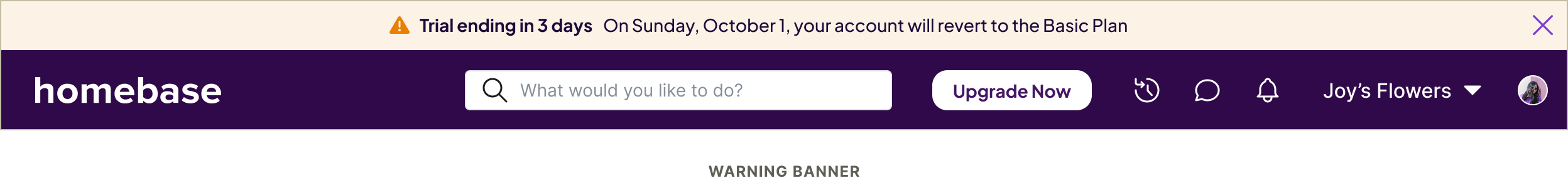 Alerts-Example-Site-Level