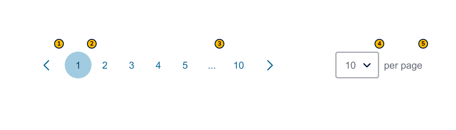 Large Inline Anatomy (Web)