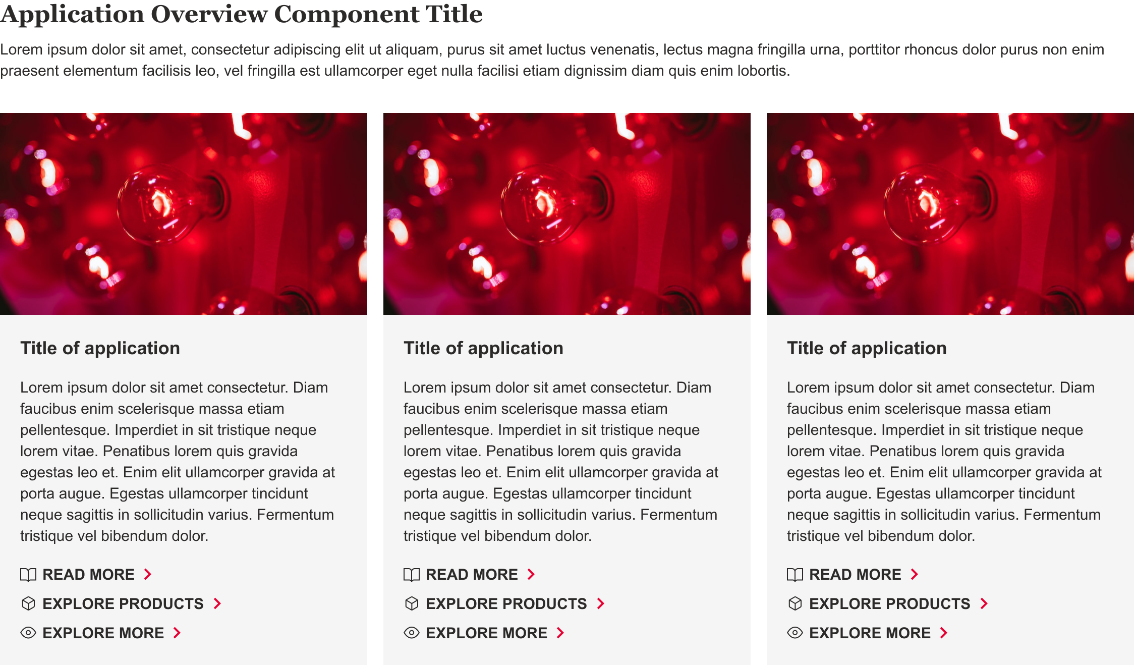 Overview | Application Overview | Made with Supernova