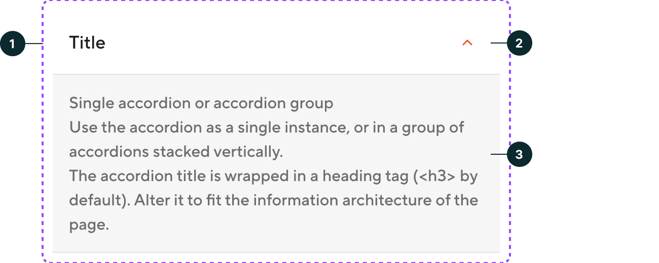 Accordion - Anatomy