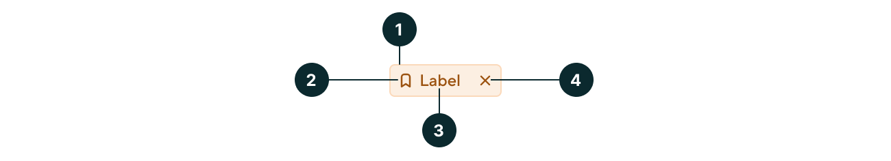 Tag anatomy