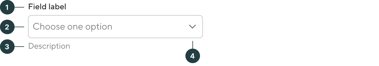 Field dropdown - anatomy