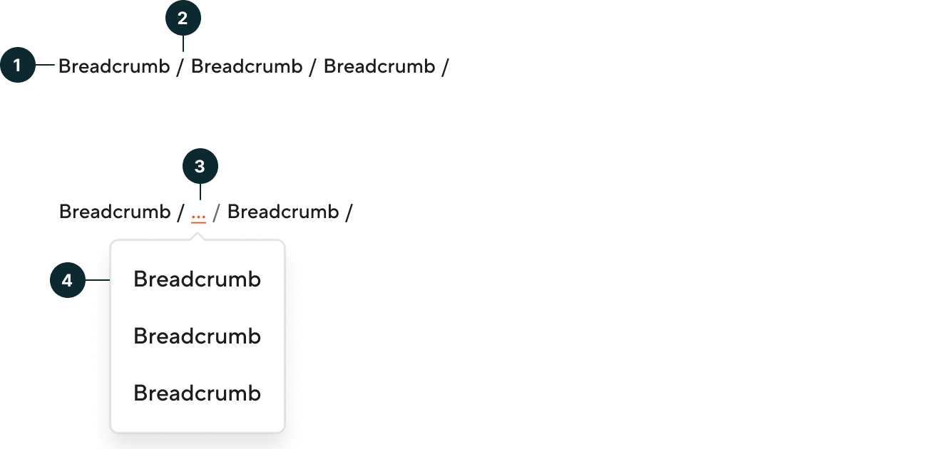 Breadcrumbs - anatomy