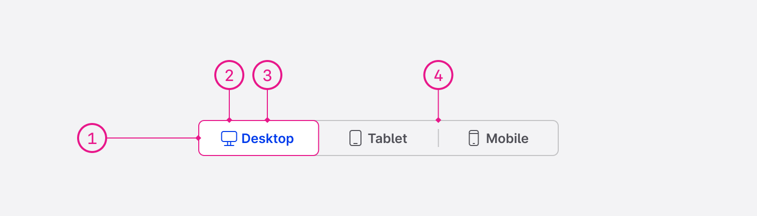Segmented control - Anatomy