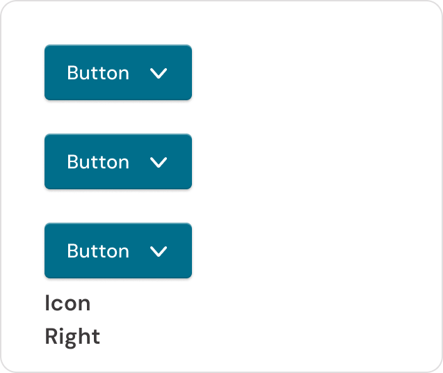 Standard icon right variants