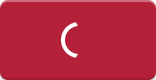 variant=Destructive, size=Large, state=loading