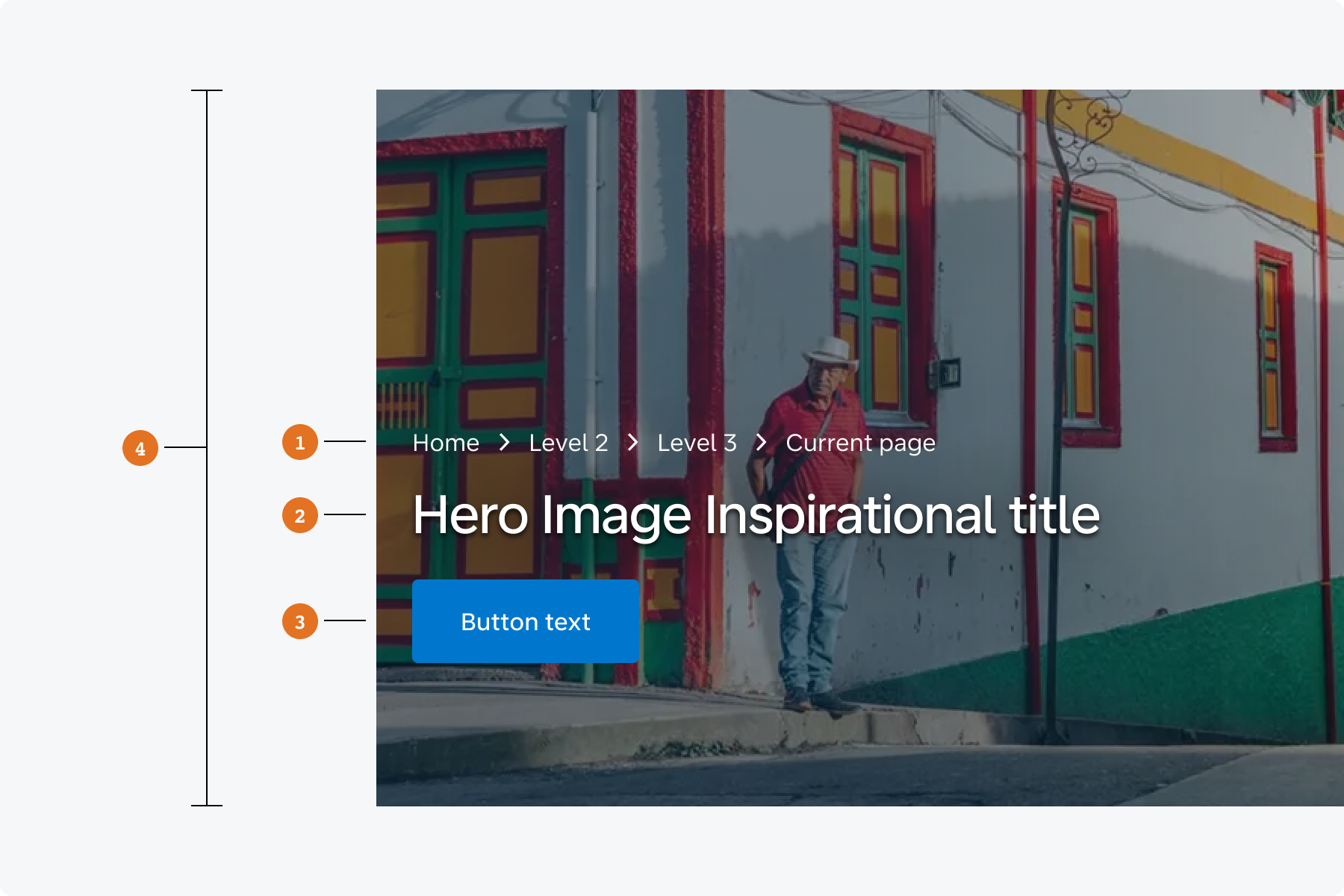 Hero Image Inspirational anatomy