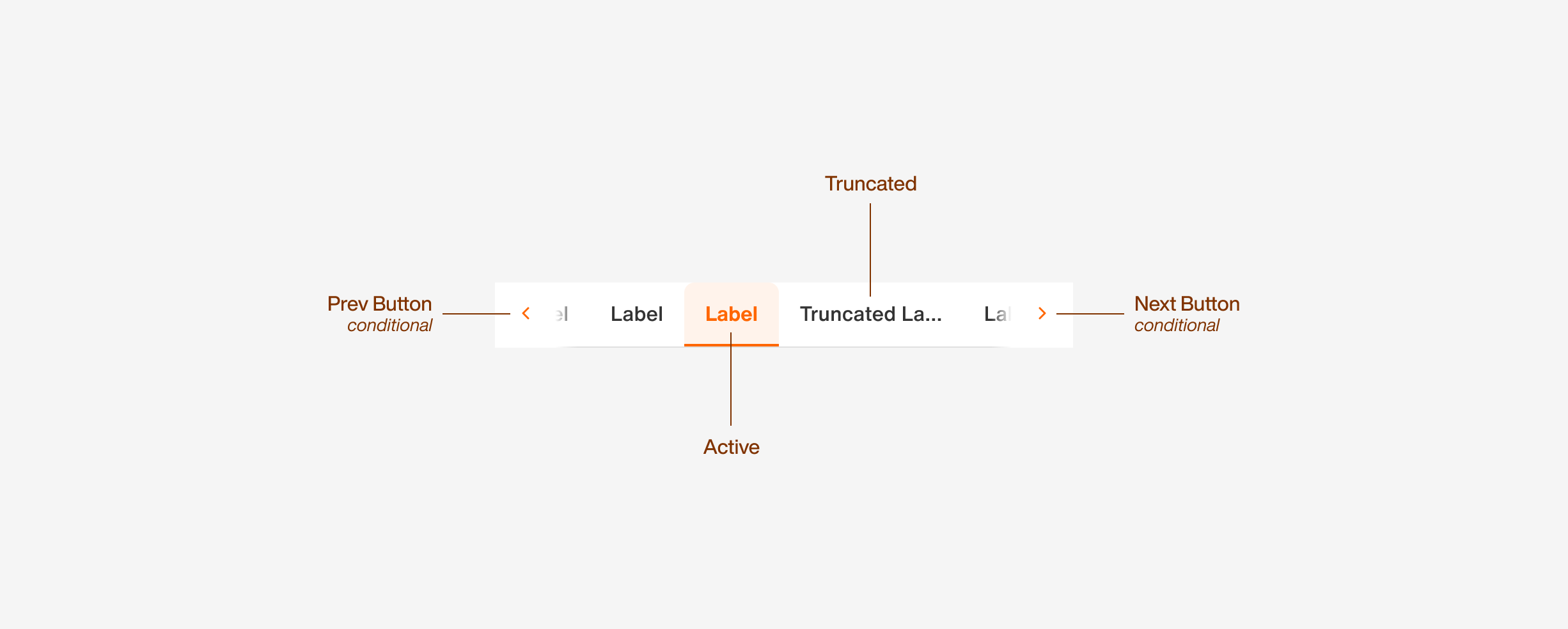 tabs/anatomy
