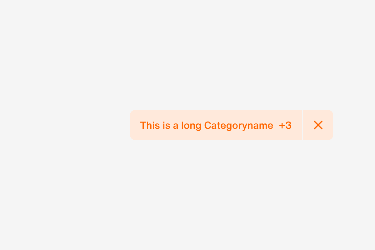 filterSelected [mobile], multiple categories, shows only one with short name