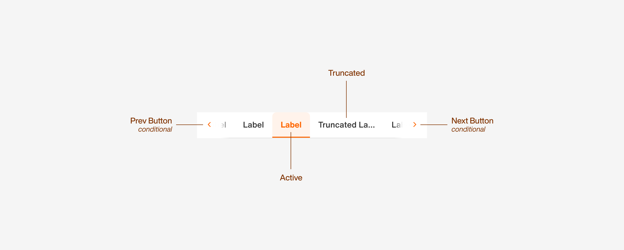 tabs/anatomy