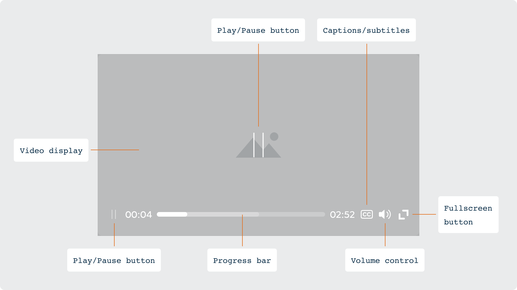 Overview Video player / Anatomy - AF