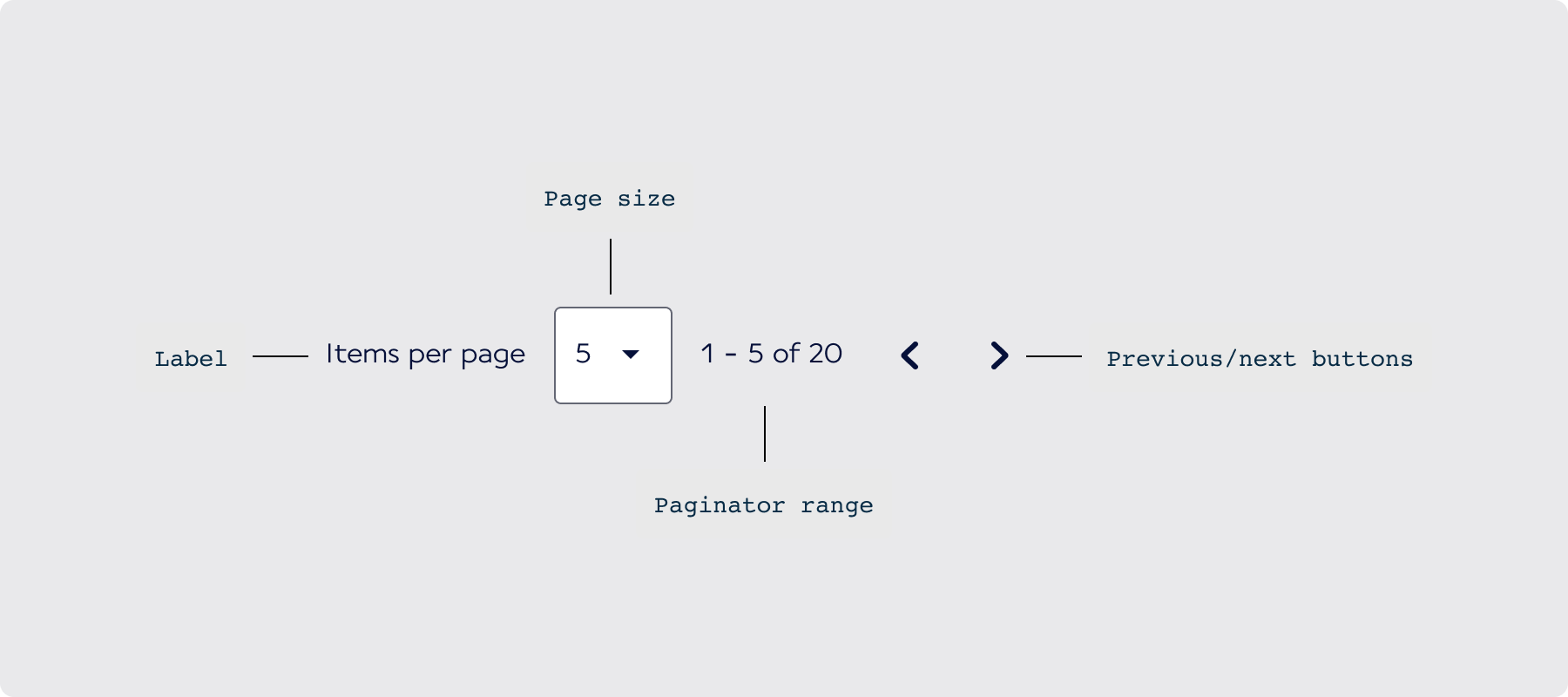 Overview / Anatomy - AF