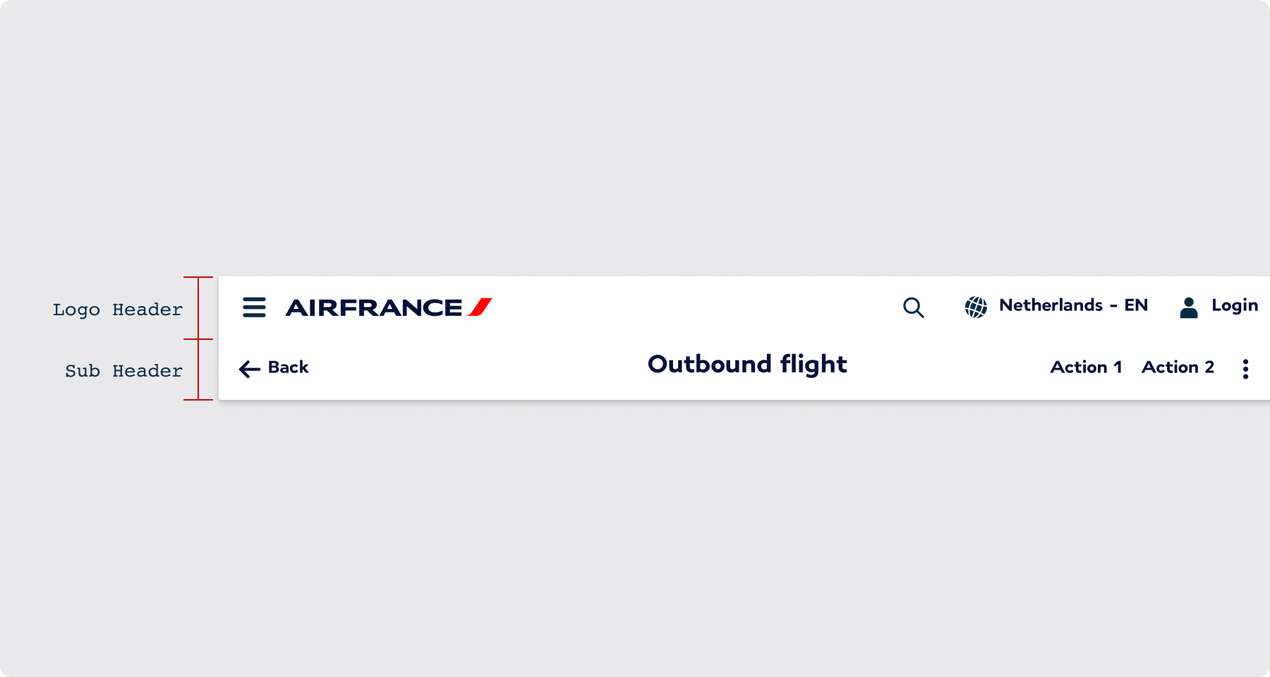 Overview / Anatomy 2 - AF