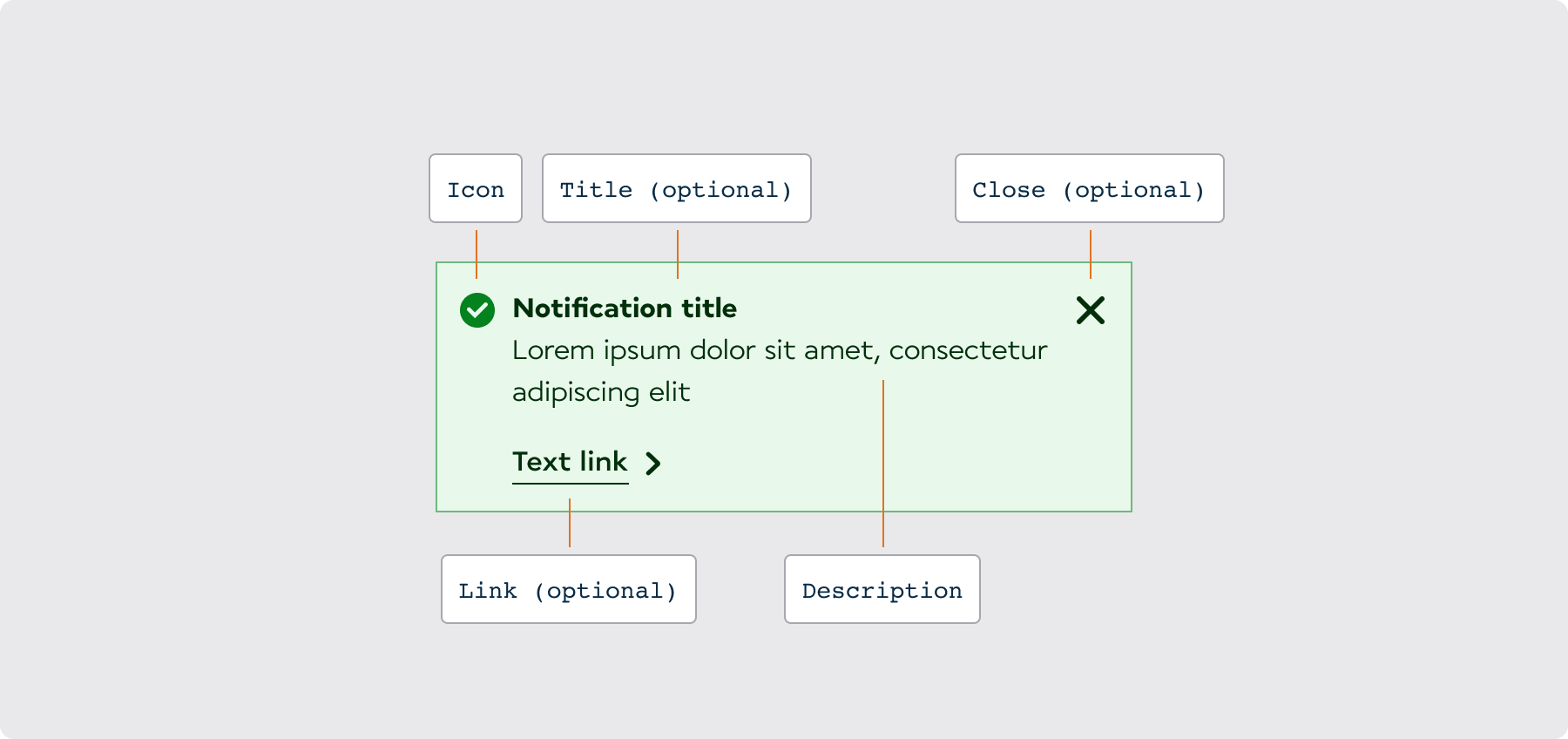 Overview / Anatomy - AF