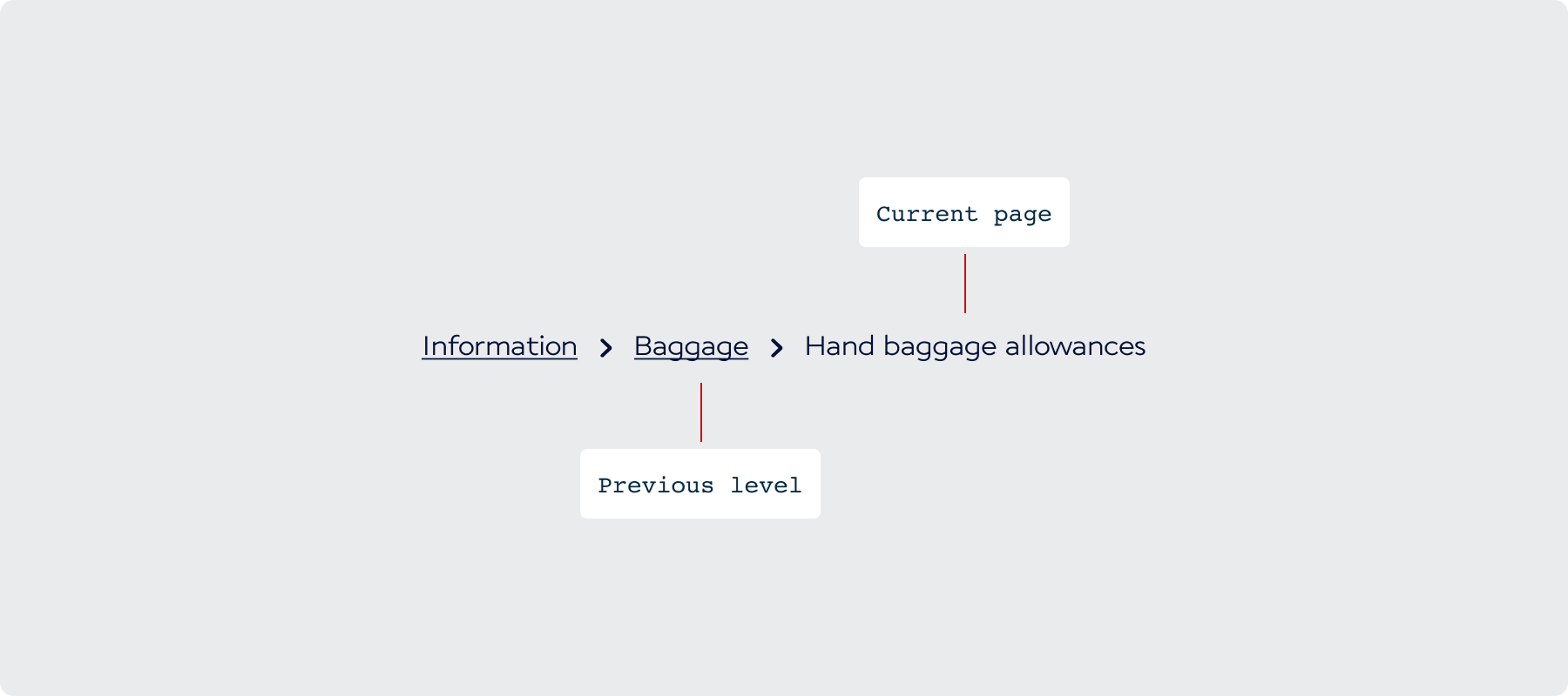 Overview / Anatomy - AF