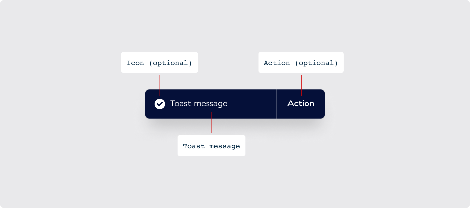 Overview / Anatomy - AF