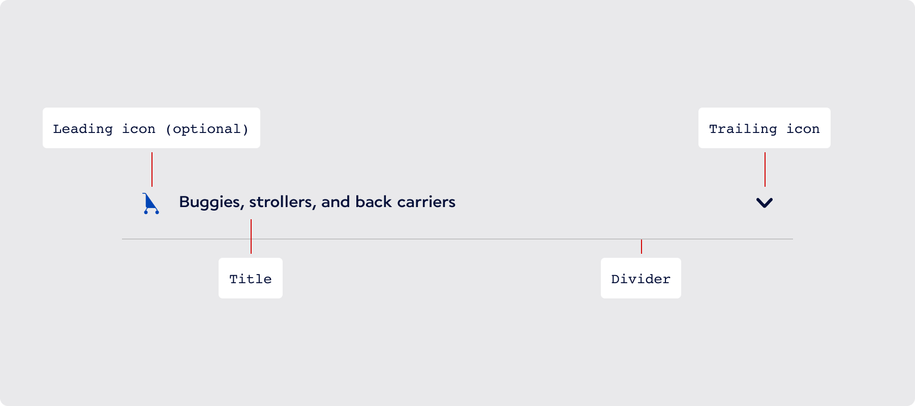 Overview / Anatomy - AF