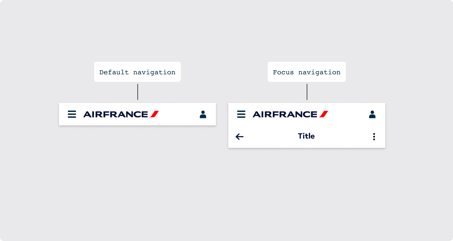 Overview / Anatomy 3 - AF