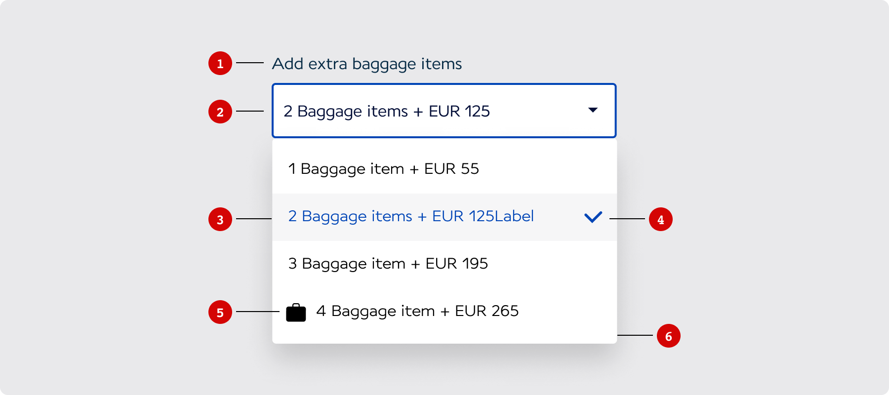 Overview / Anatomy - AF