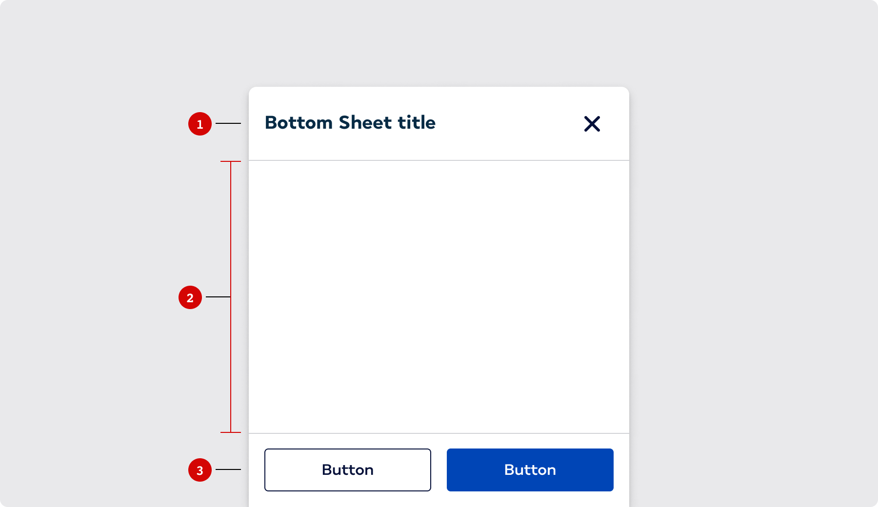 Overview / Anatomy - AF