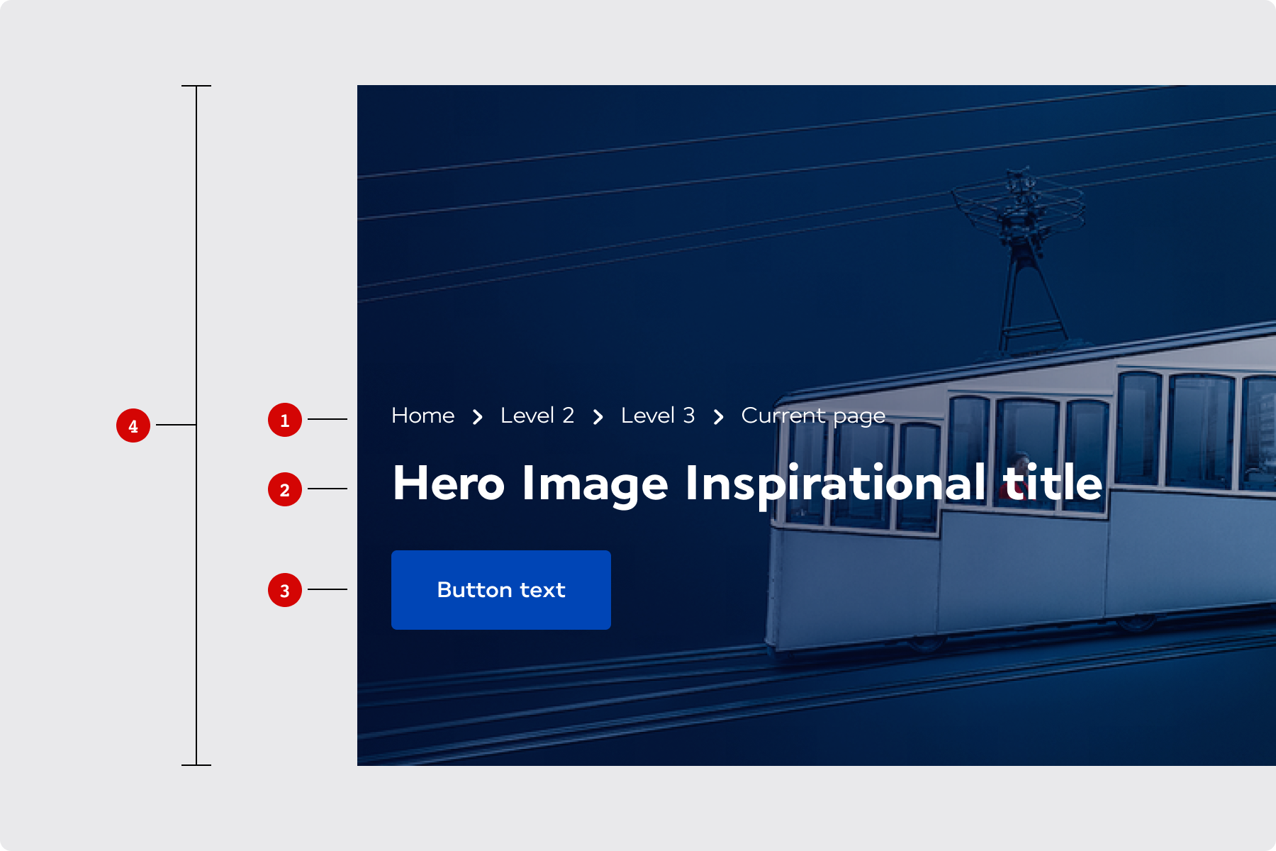 Hero Image Inspirational Anatomy