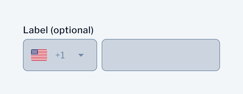 Phone Input | Disabled