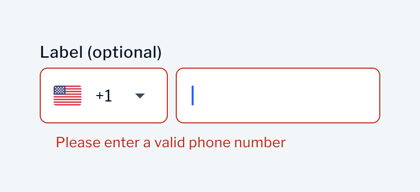 Phone Input | Error