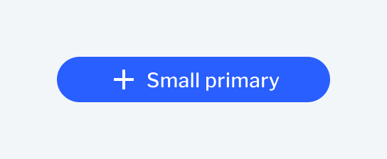 Small primary button