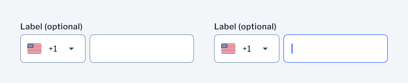 Phone Input | Normal state
