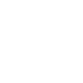 Octopus Icon White