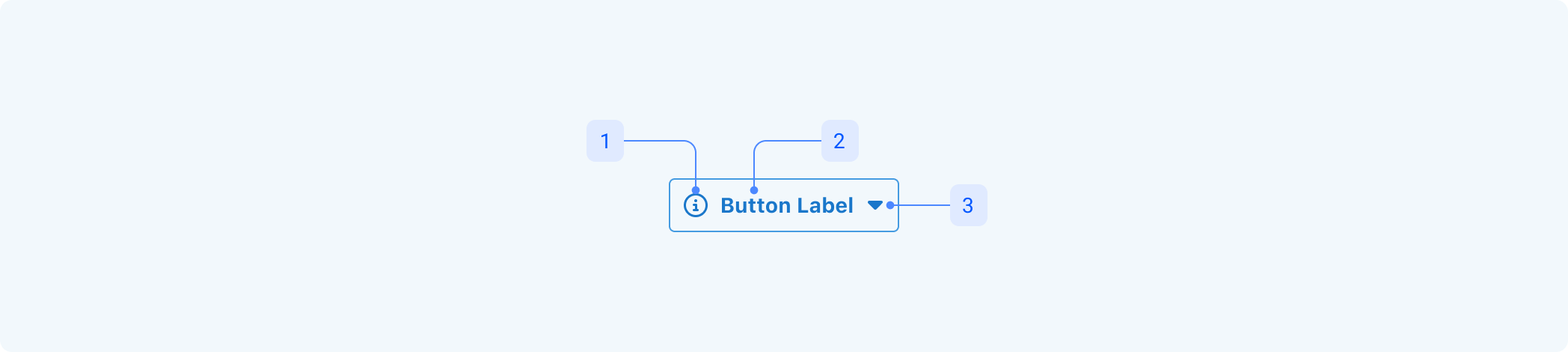 button-anatomy