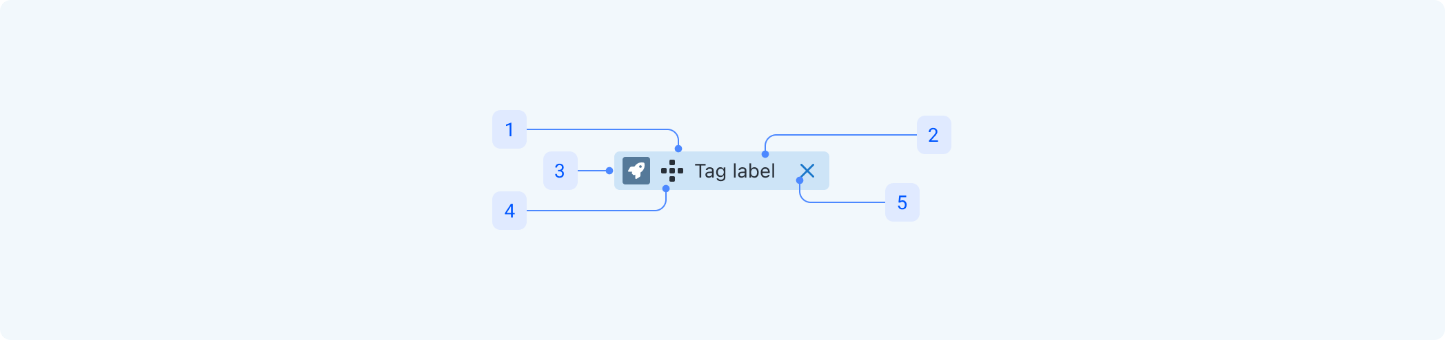 tag-anatomy