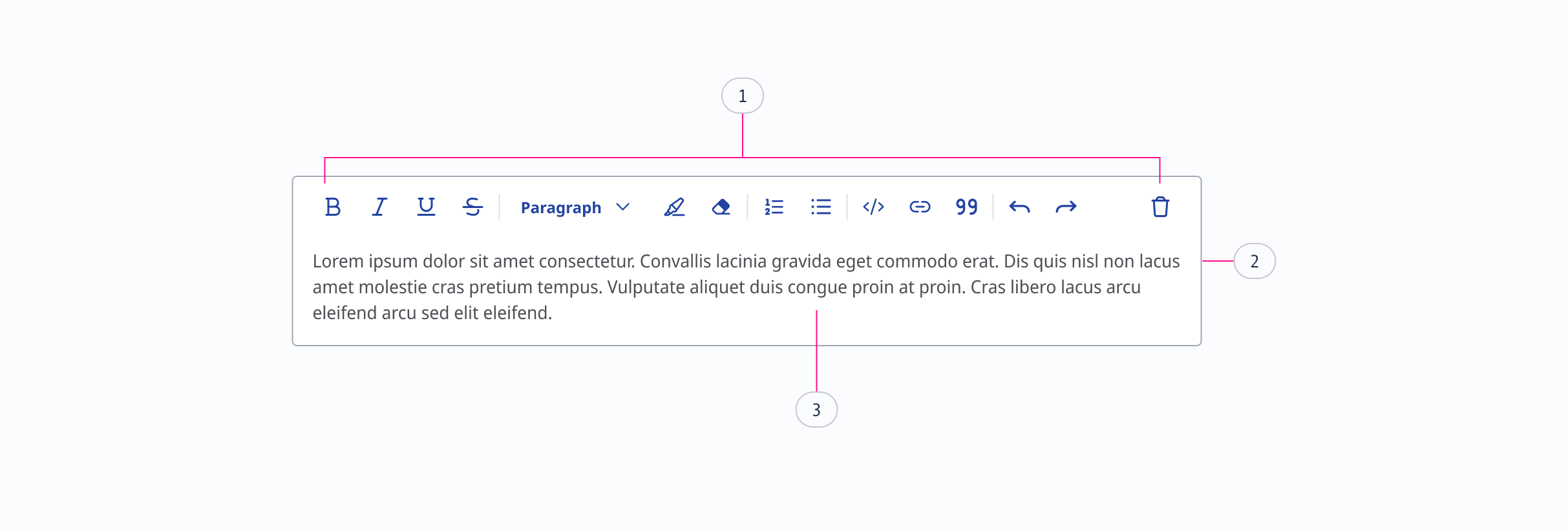 Anatomy_Main Component