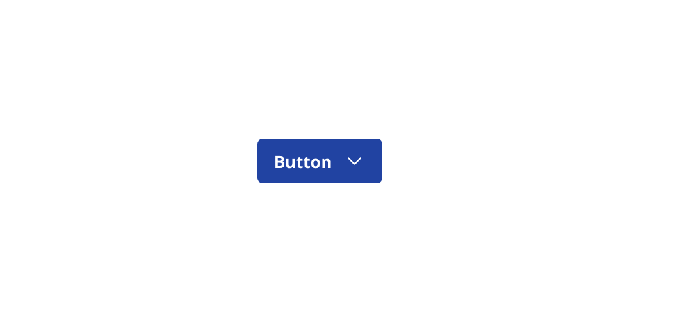 A primary button stating 'button'