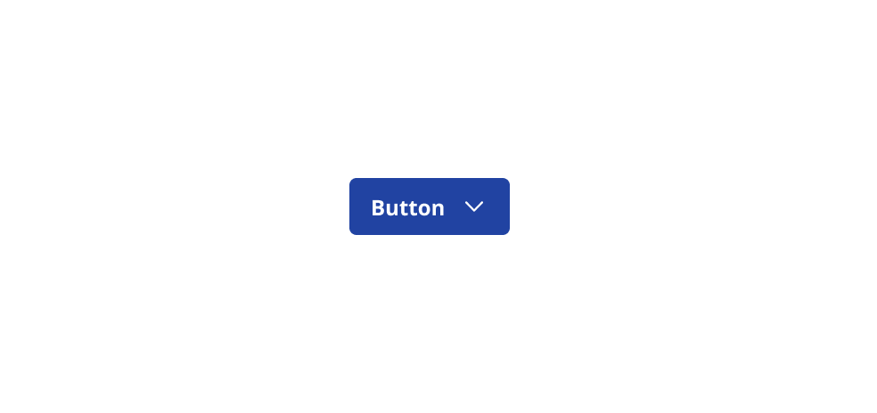 A primary button stating 'button'