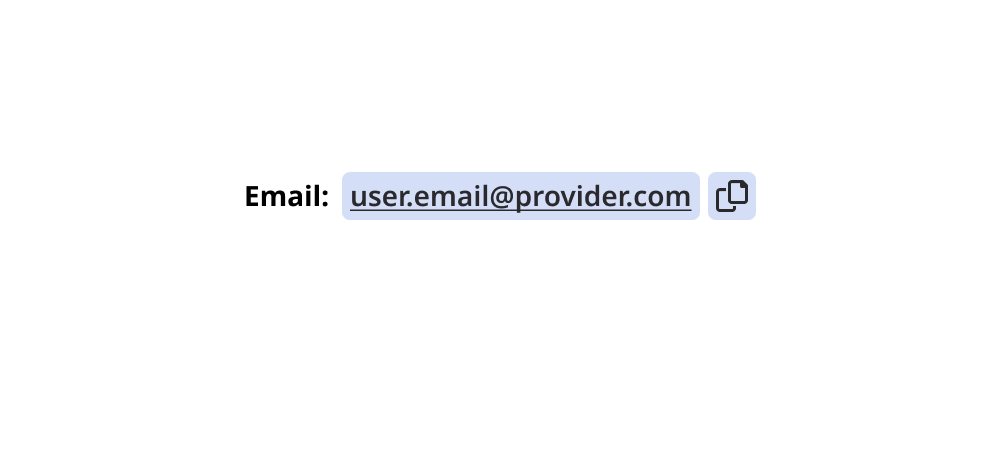 Email field displaying address with copy-to-clipboard button.