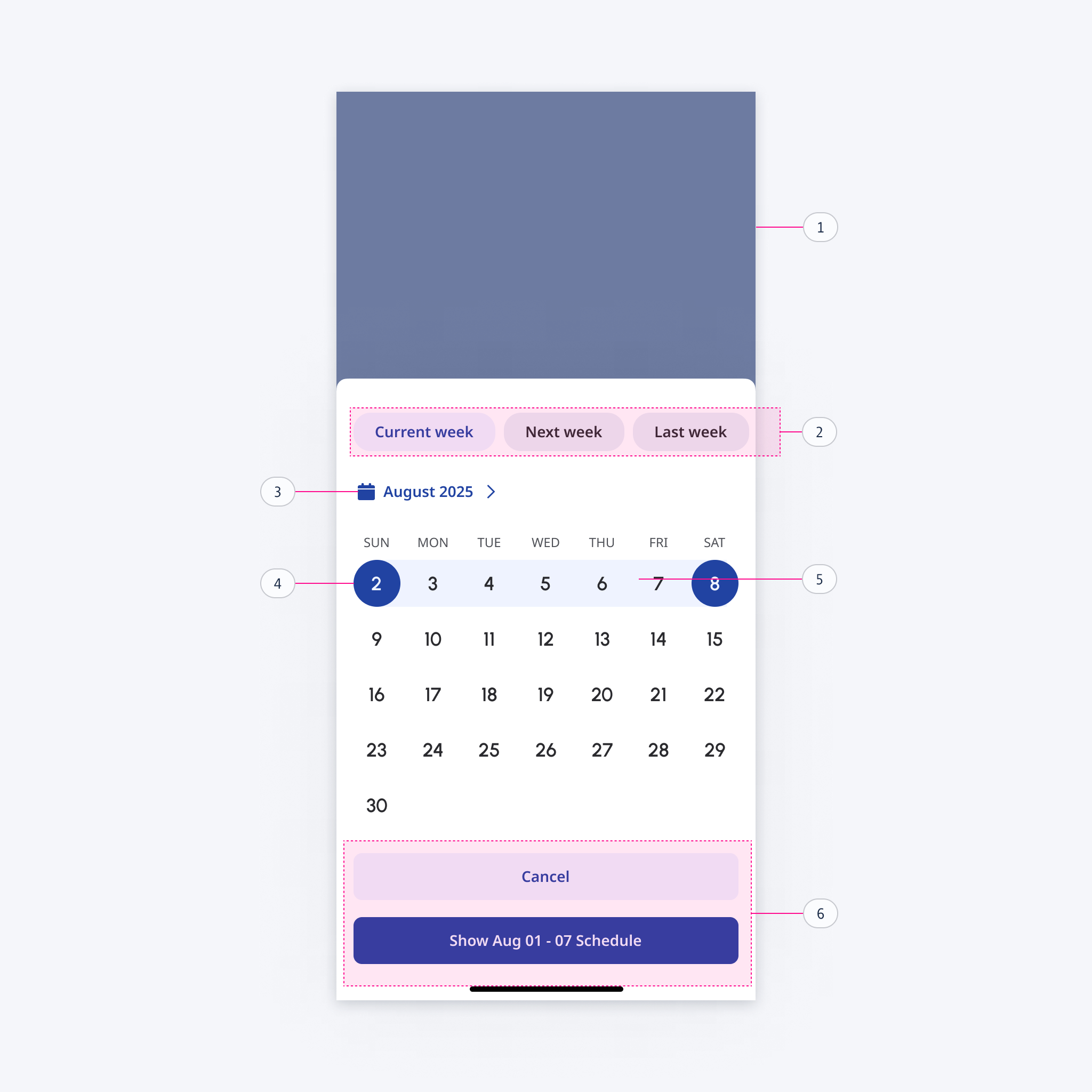 Date Range-Expanded / Outline-View